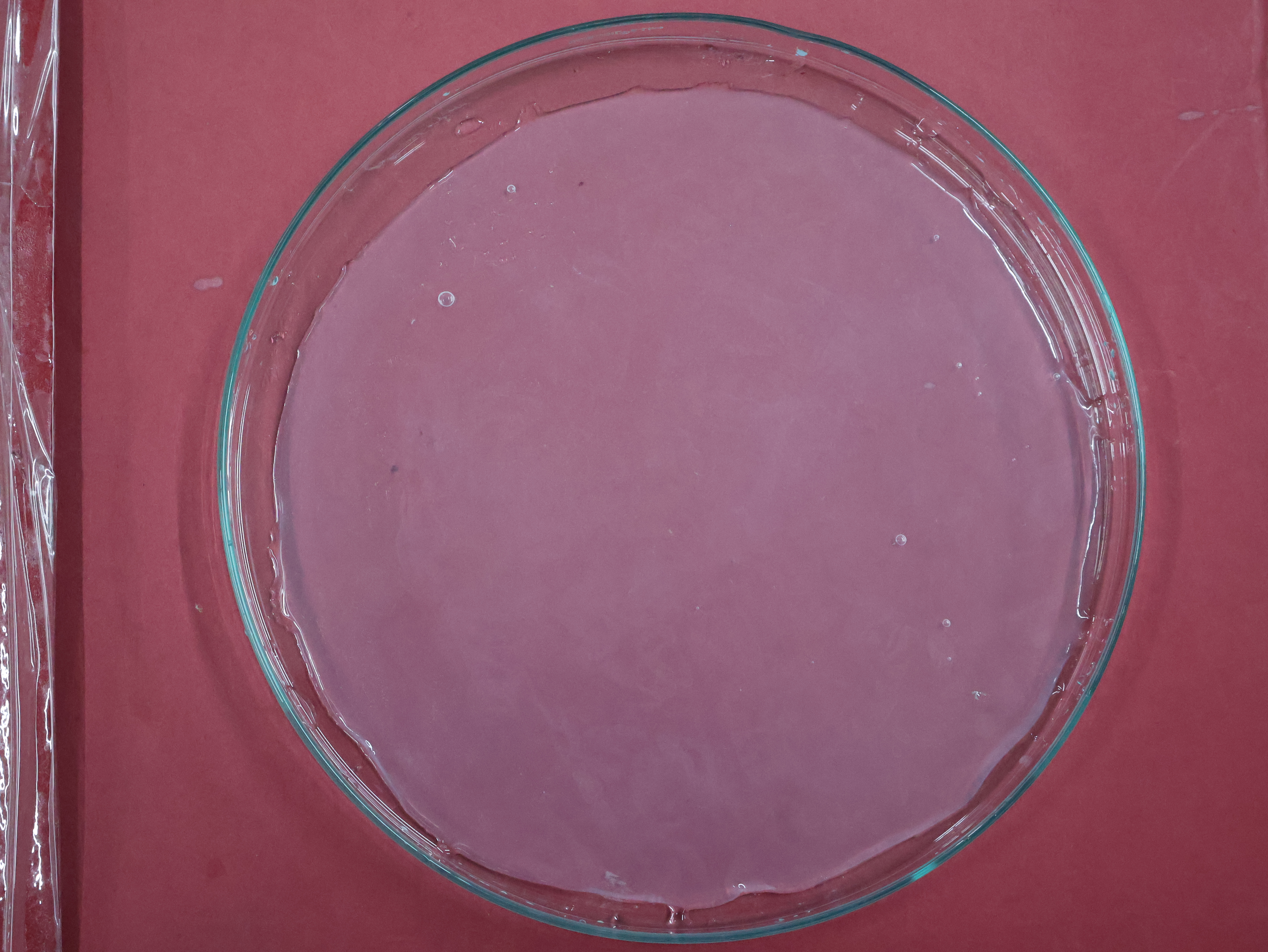 Porous Beads View 2