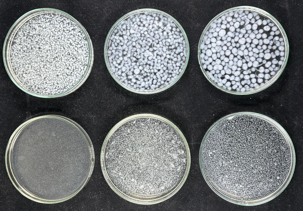 Porous Beads View 1