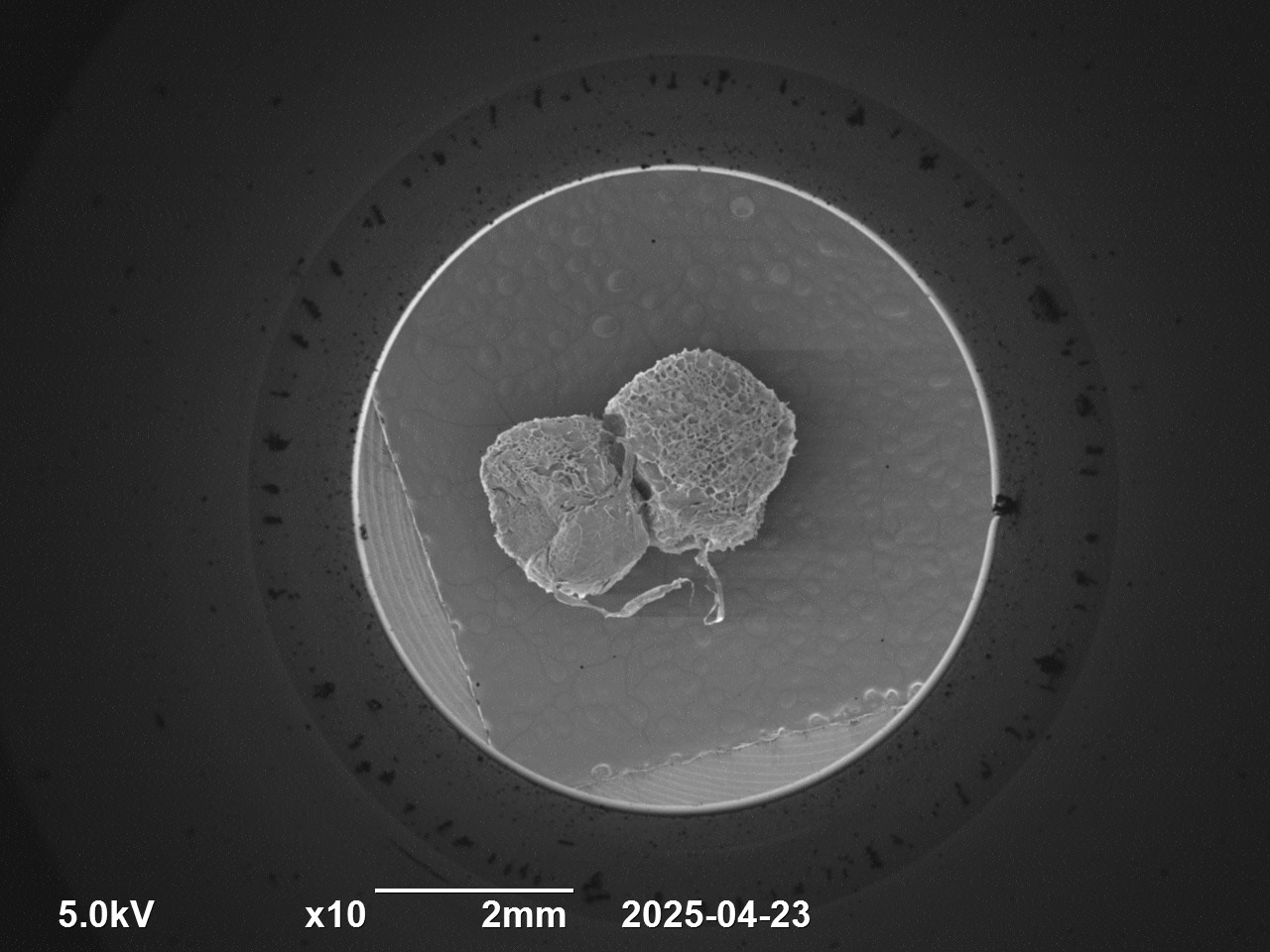 Porous Beads View 2
