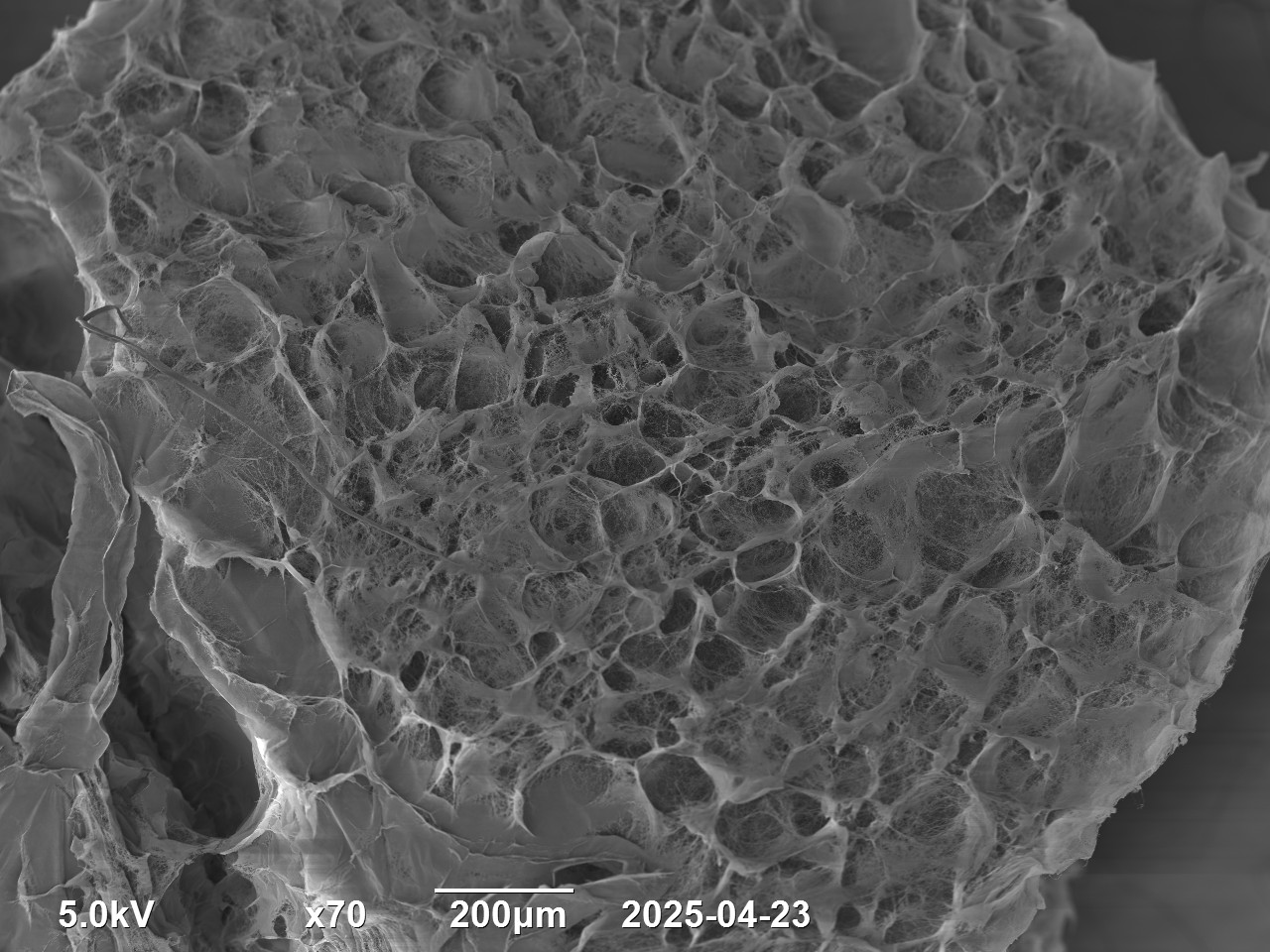 Porous Beads View 2