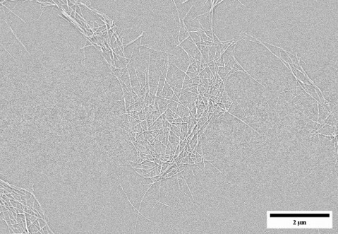 Nanocellulose Slurries View 5
