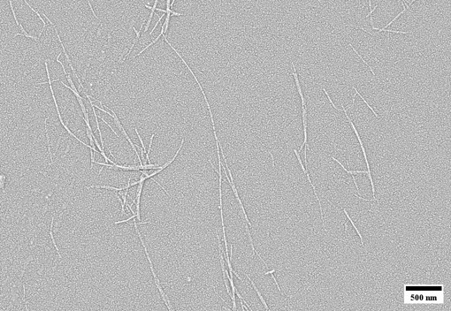 Nanocellulose Slurries View 6