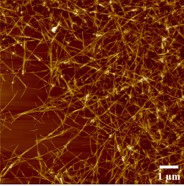 Nanocellulose Slurries View 2