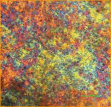 Nanocellulose Slurries View 3